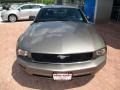 2005 Mineral Grey Metallic Ford Mustang V6 Premium Coupe  photo #15