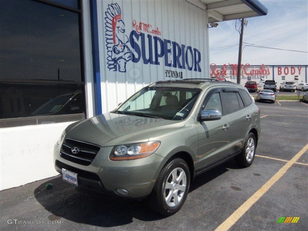 Natural Khaki Hyundai Santa Fe