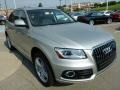 Cuvee Silver Metallic 2014 Audi Q5 3.0 TDI quattro Exterior