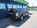 Stone Green Metallic - Mountaineer Premier AWD Photo No. 10