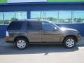 Stone Green Metallic - Mountaineer Premier AWD Photo No. 11