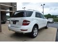 Arctic White - ML 350 4Matic Photo No. 10