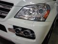 Arctic White - GL 450 4Matic Photo No. 5
