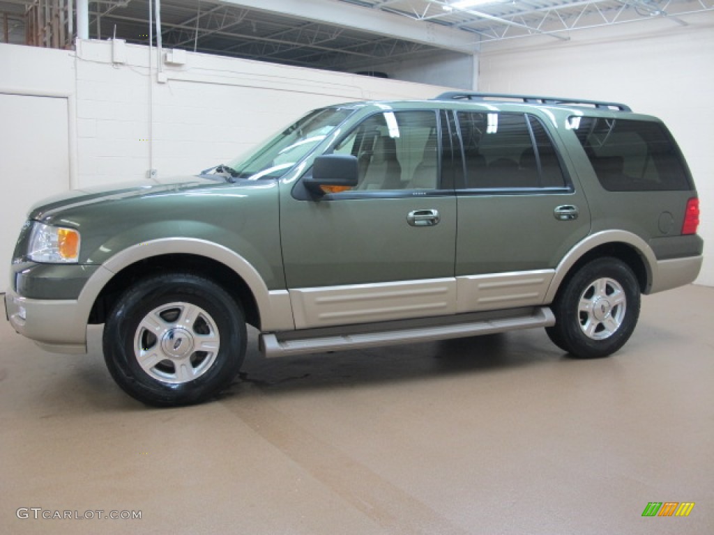 Estate Green Metallic 2005 Ford Expedition Eddie Bauer 4x4 Exterior Photo #84058058