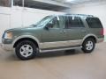 Estate Green Metallic 2005 Ford Expedition Eddie Bauer 4x4 Exterior