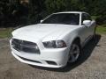 Bright White - Charger SE Photo No. 1