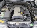 3.2L DOHC 24V Inline 6 Cylinder 1995 Mercedes-Benz E 320 Sedan Engine