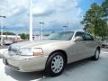 Light French Silk Metallic 2010 Lincoln Town Car Signature Limited