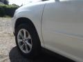 2009 Crystal White Mica Lexus RX 350 AWD  photo #18