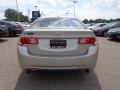 2010 Palladium Metallic Acura TSX Sedan  photo #5