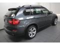 Platinum Gray Metallic - X5 xDrive35d Photo No. 11