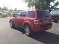 2009 Sangria Red Metallic Ford Escape XLT 4WD  photo #3
