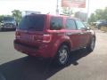 2009 Sangria Red Metallic Ford Escape XLT 4WD  photo #5