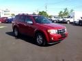 2009 Sangria Red Metallic Ford Escape XLT 4WD  photo #7