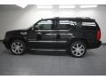 Black Raven - Escalade  Photo No. 2