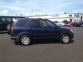 Eternal Blue Pearl - CR-V EX 4WD Photo No. 6