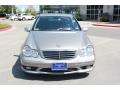 Pewter Metallic - C 230 Sport Photo No. 3