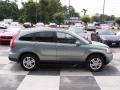 2011 Opal Sage Metallic Honda CR-V EX-L  photo #3