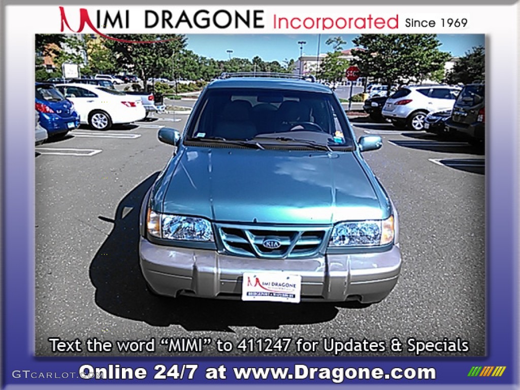 2001 Sportage EX 4x4 - Evergreen / Brown photo #5