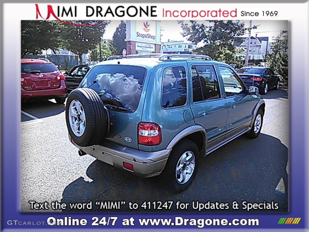 2001 Sportage EX 4x4 - Evergreen / Brown photo #8