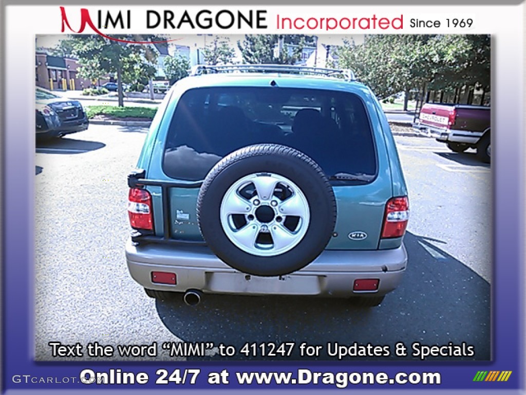 2001 Sportage EX 4x4 - Evergreen / Brown photo #9