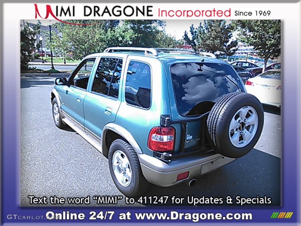 2001 Sportage EX 4x4 - Evergreen / Brown photo #10