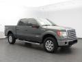 2012 Sterling Gray Metallic Ford F150 XLT SuperCrew 4x4  photo #1