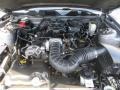 2010 Sterling Grey Metallic Ford Mustang V6 Premium Coupe  photo #23