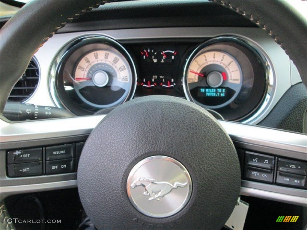 2010 Mustang GT Premium Coupe - Sterling Grey Metallic / Charcoal Black photo #15