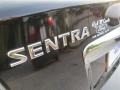 Super Black - Sentra 2.0 S Photo No. 6