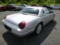 Platinum Silver Metallic - Thunderbird Deluxe Roadster Photo No. 2