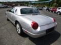 Platinum Silver Metallic - Thunderbird Deluxe Roadster Photo No. 4