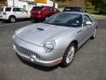 Platinum Silver Metallic - Thunderbird Deluxe Roadster Photo No. 5