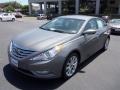 Harbor Gray Metallic - Sonata SE Photo No. 2