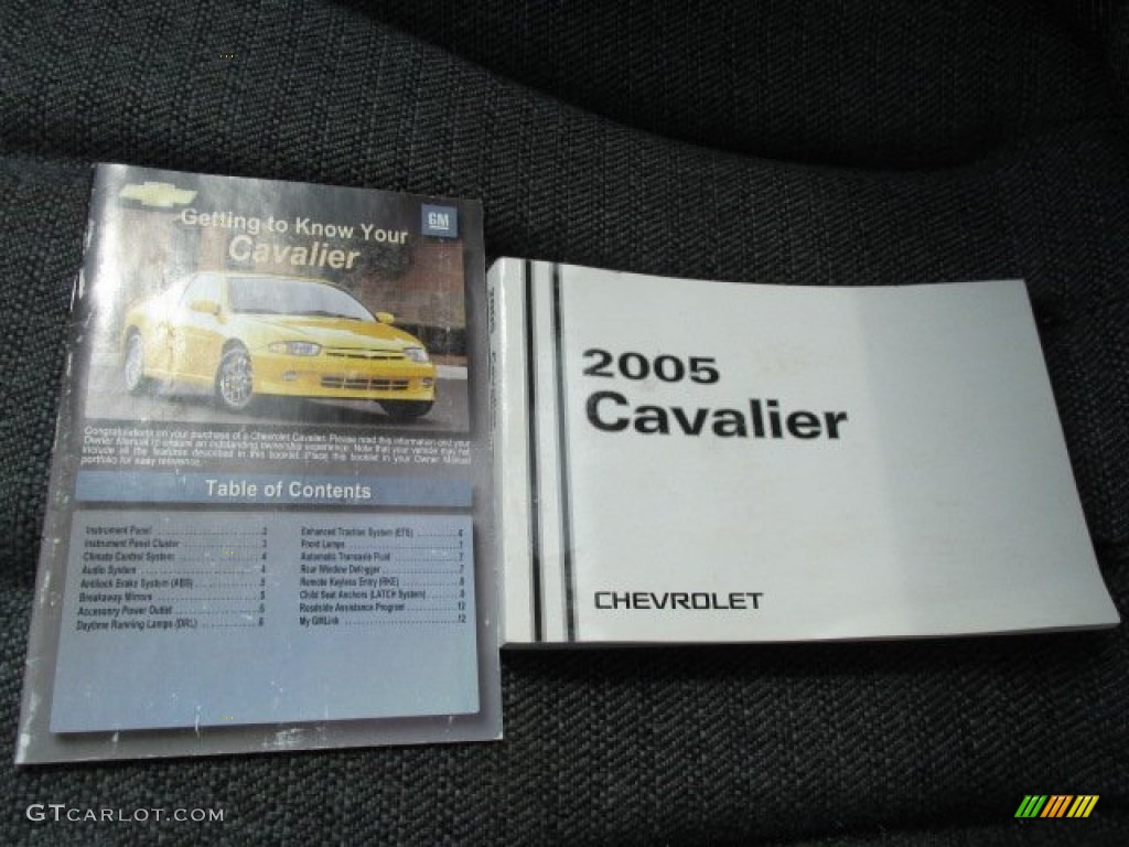 2005 Cavalier Sedan - Ultra Silver Metallic / Graphite Gray photo #17