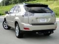 Savannah Beige Metallic - RX 330 AWD Photo No. 7