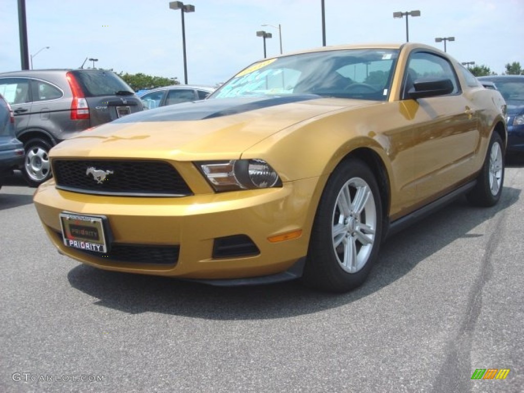 2010 Mustang V6 Coupe - Sunset Gold Metallic / Charcoal Black photo #1