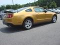 2010 Sunset Gold Metallic Ford Mustang V6 Coupe  photo #6