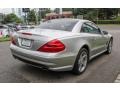 Brilliant Silver Metallic - SL 500 Roadster Photo No. 23