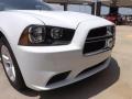 Bright White - Charger SE Photo No. 13