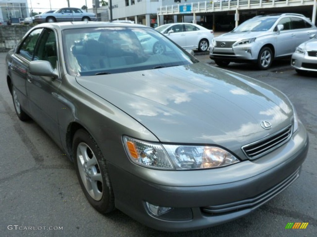2000 ES 300 Sedan - Antique Sage Pearl / Sage photo #3