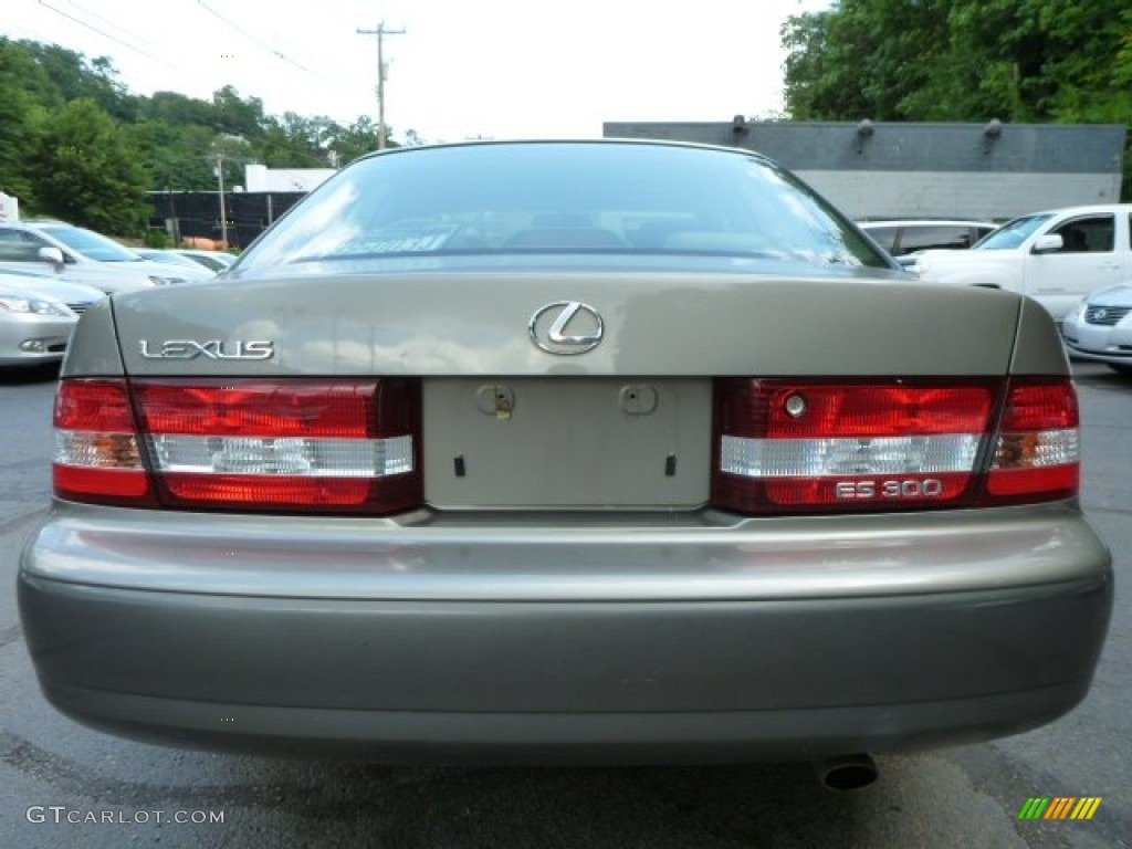 2000 ES 300 Sedan - Antique Sage Pearl / Sage photo #10