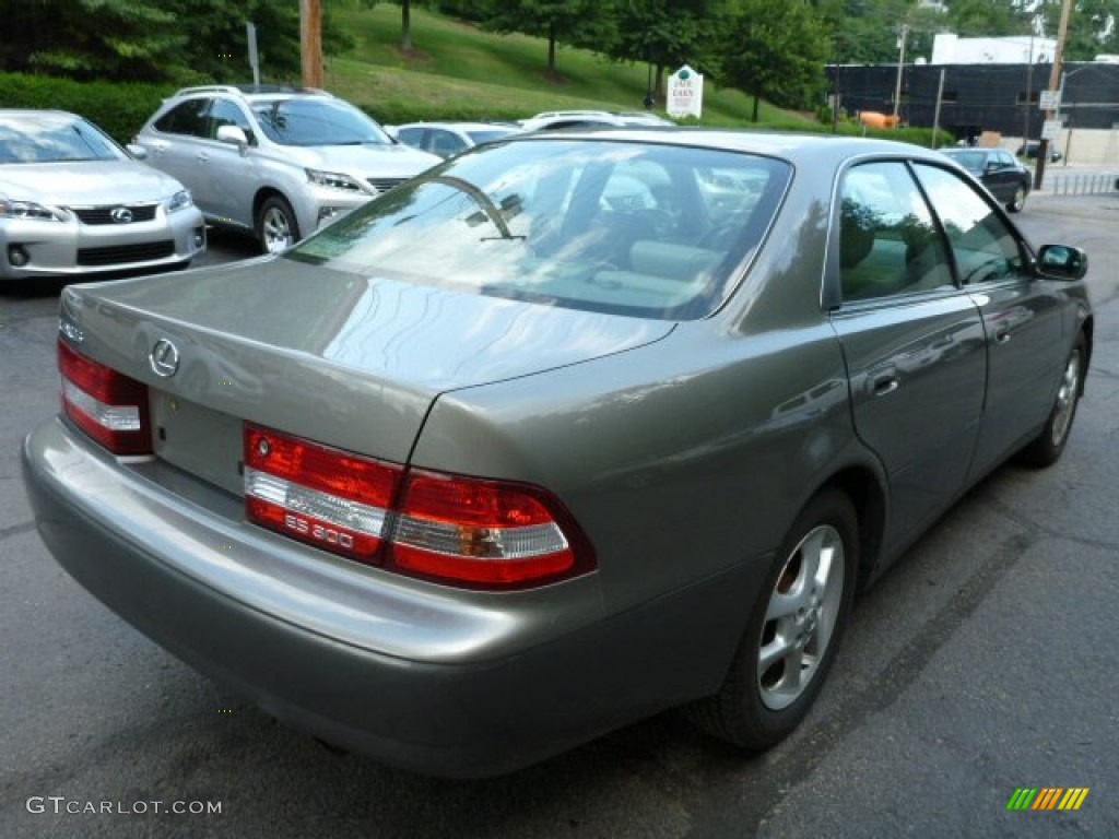 2000 ES 300 Sedan - Antique Sage Pearl / Sage photo #11