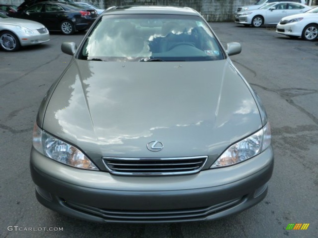 2000 ES 300 Sedan - Antique Sage Pearl / Sage photo #12