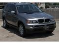 Sterling Grey Metallic 2006 BMW X5 3.0i