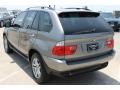 Sterling Grey Metallic - X5 3.0i Photo No. 7