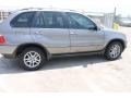 Sterling Grey Metallic - X5 3.0i Photo No. 11