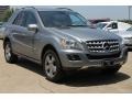 Steel Grey Metallic - ML 350 Photo No. 1