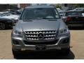 2010 Steel Grey Metallic Mercedes-Benz ML 350  photo #2