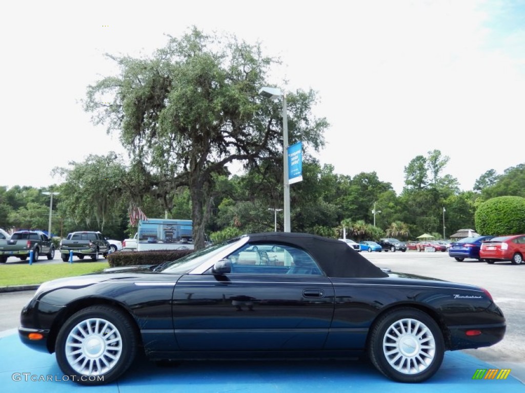 2005 Thunderbird Premium Roadster - Evening Black / Black Ink photo #2